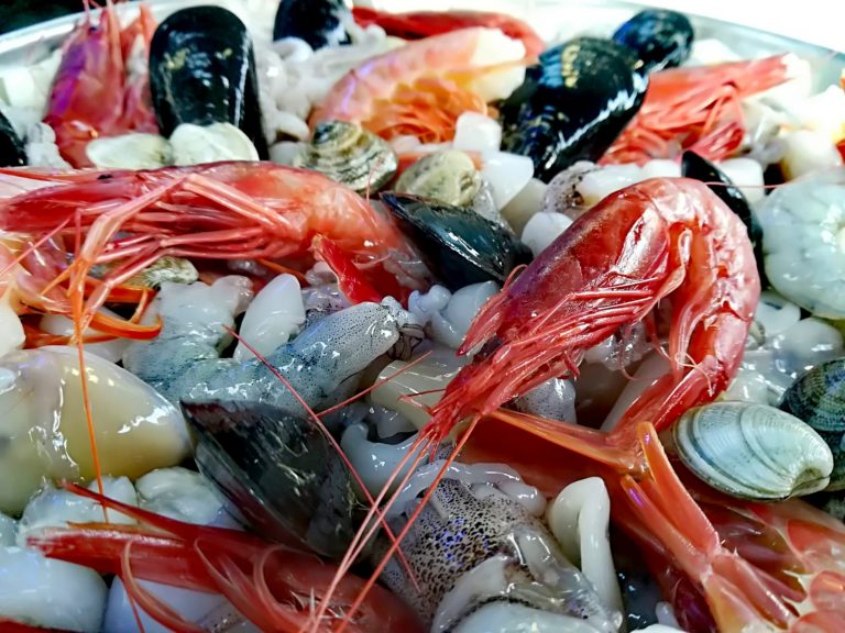 A tavola con il Mare Adriatico: La secolare tradizione Marinaresca di Manfredonia